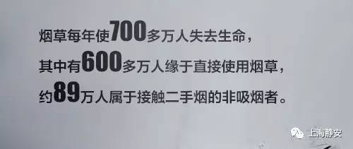 吃戒烟药能戒烟吗?_戒烟的花费_这书能让你永久戒烟 这书能让你戒烟