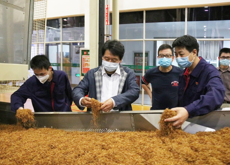 纯烟草味的香烟_上海大前门香烟烟草专卖店_小店卖香烟没有烟草证