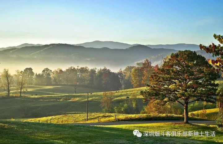 烟草原味的烟都有哪些_青岛颐中烟草有那些烟_什么品牌电子烟原味烟弹好抽