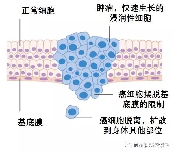 戒烟激活癌细胞_戒烟后真的会得癌吗_为什么突然戒烟会得癌