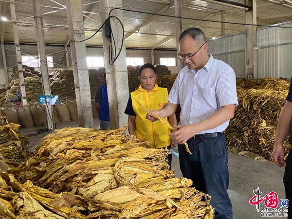 云南农业大学 烟草_全国烟草纪检监察工作报告_云南烟草在全国的地位