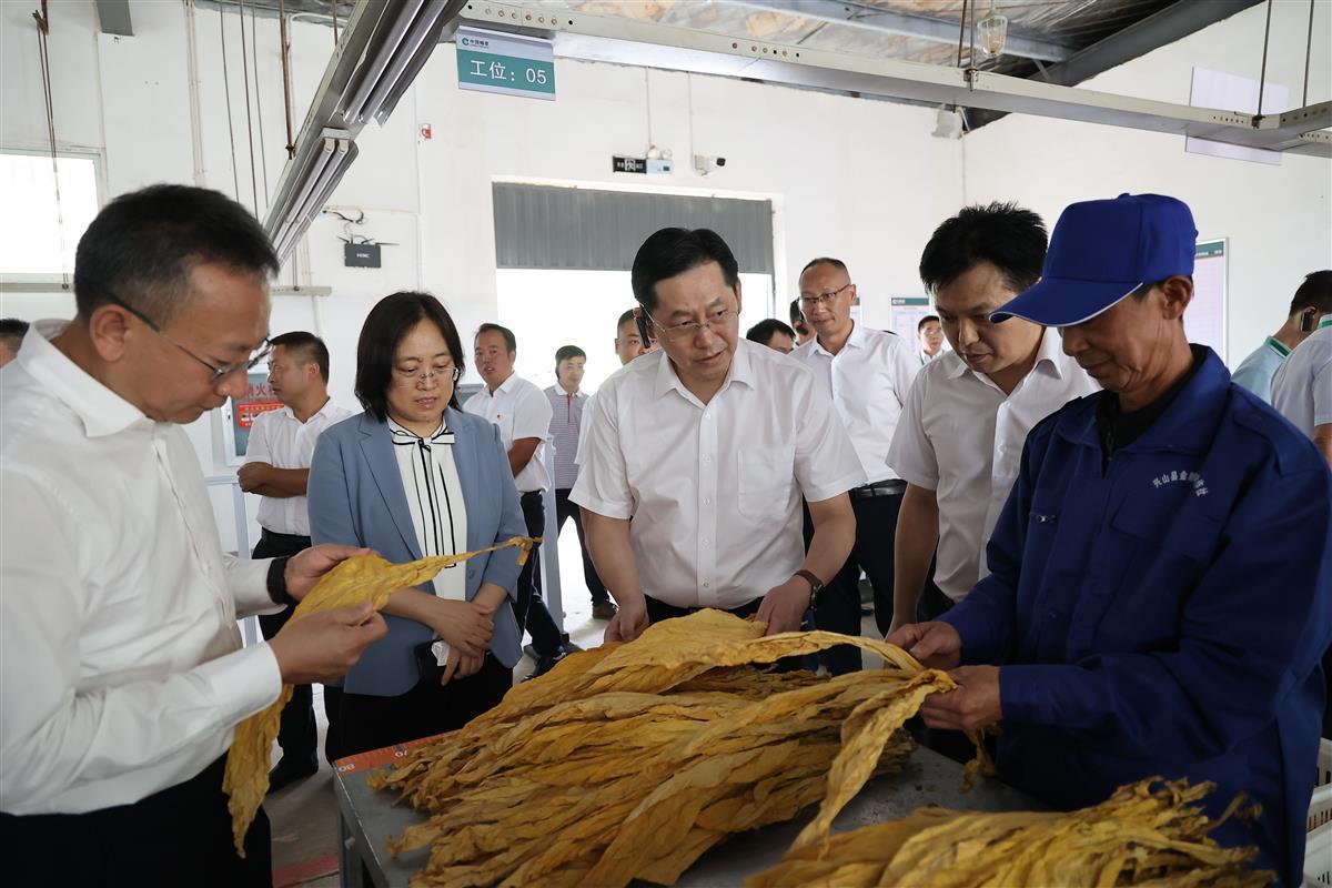 宝钢原料采购中心_云南最贵的烟是什么烟_云南中烟原料中心