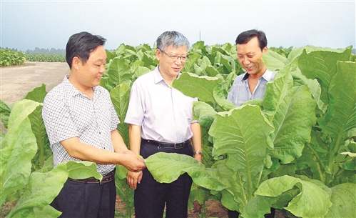 姜成康局长在2012年全国烟草工作会议上的报告_李镇桂 云南烟草_云南烟草在全国的地位