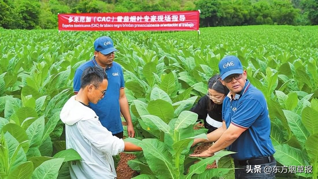 李镇桂 云南烟草_云南烟草在全国的地位_全国烟草纪检监察工作报告