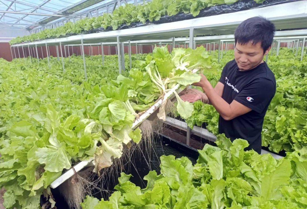 福建云霄水果种植基地_福建云霄_福建云霄新闻视频