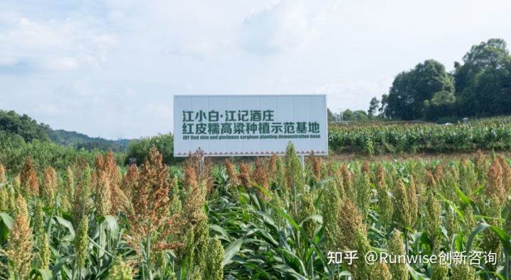 抽荷花烟是什么档次的烟_近几年出现了(荷花烟和酒的品牌有什么说法吗?)_电子烟有多个品牌