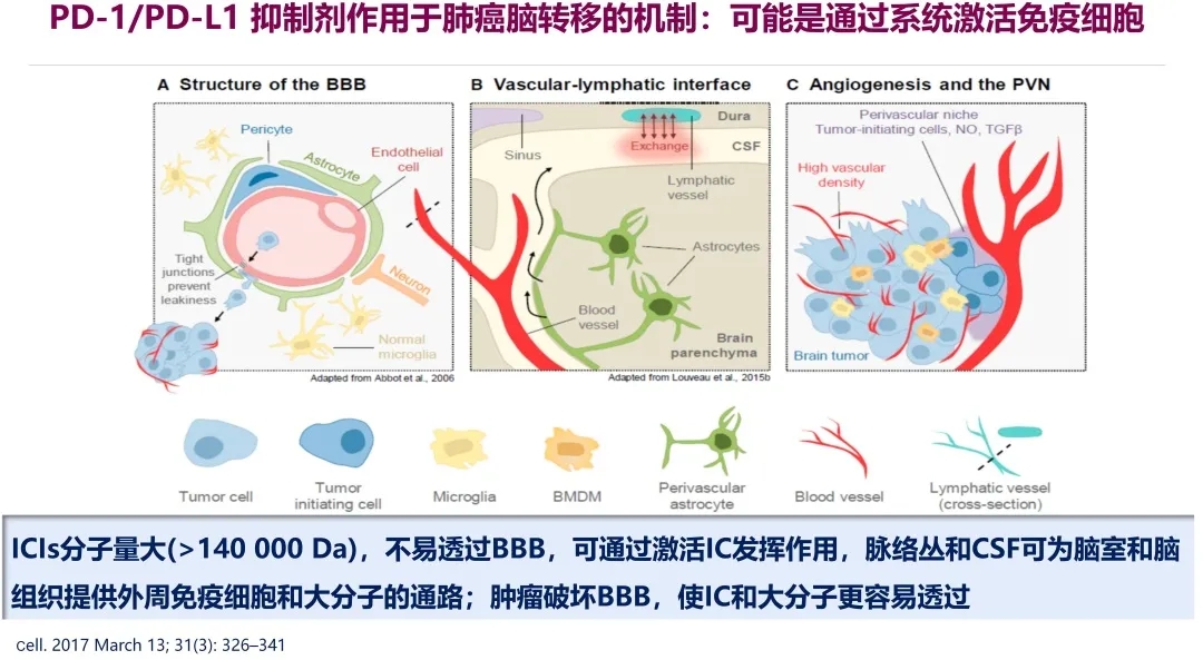 戒烟后得癌的人多不多_戒烟激活癌细胞_胃癌印戒细胞癌术后饮食