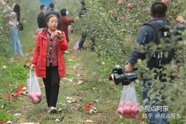 福建云霄假烟的价目表_福建云霄水果种植基地_福建云霄云顶温泉图片