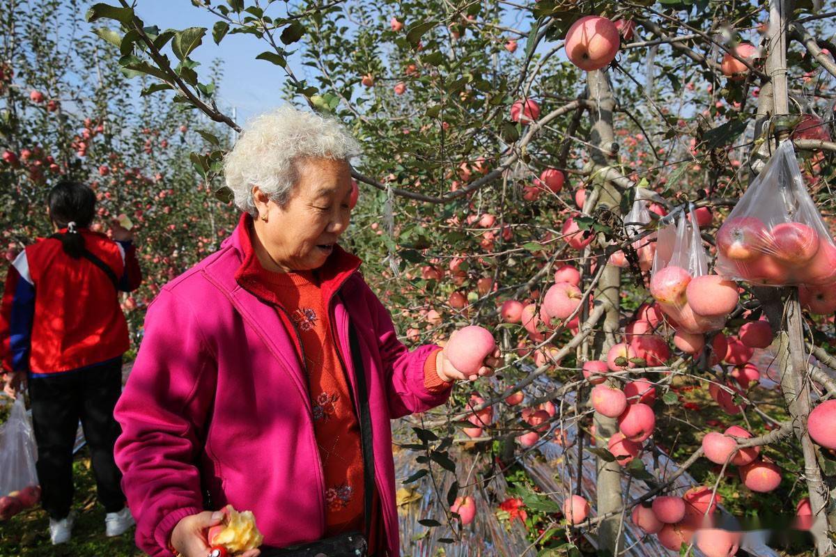 福建云霄乱真烟微信_福建云霄水果种植基地_福建云霄到厦门动车