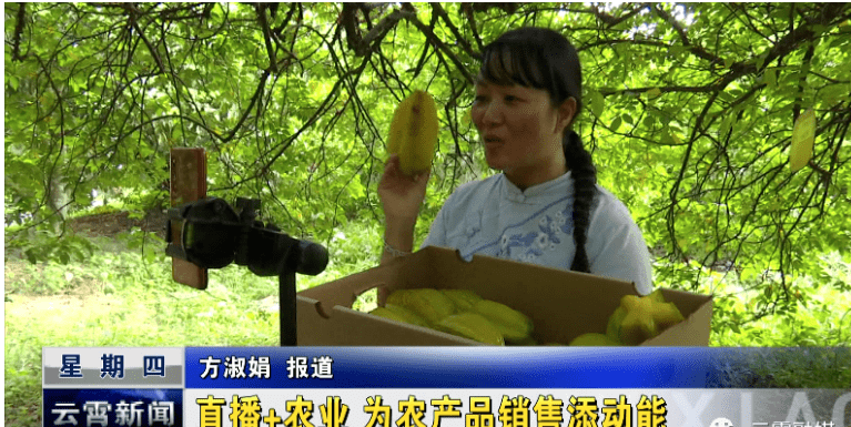 福建云霄水果种植基地_福建云霄教育网_山东水果种植销售基地