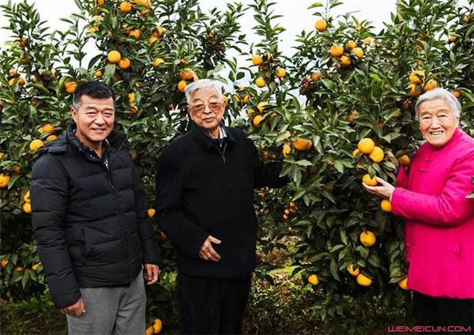 十堰当地特色美食_云南当地的特色卷烟_龙口当地春节特色美食