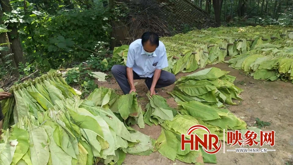 进口美棉优质纯棉区别_中国进口优质烟叶_优质进口尼龙板