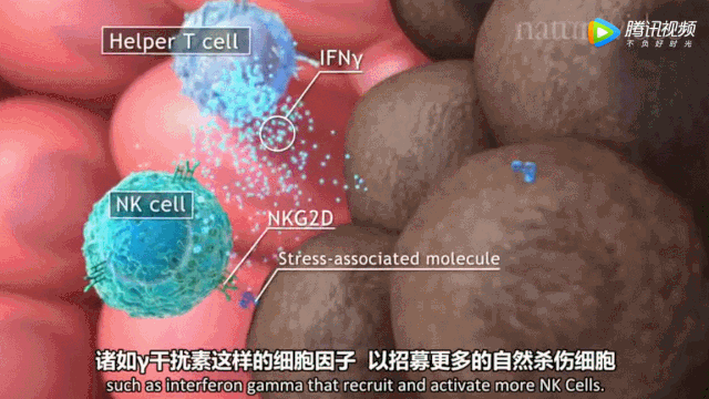 戒烟激活癌细胞_胃窦印戒细胞癌应该看哪个科_突然戒烟会得癌