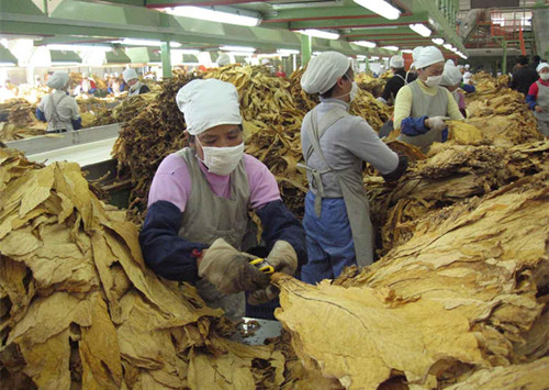 云南粉煤灰原料厂家_云南中烟原料中心_电子烟烟油原料研发