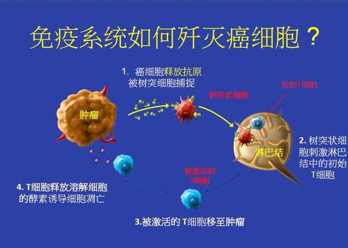 胃窦印戒细胞癌应该看哪个科_戒烟激活癌细胞_印戒细胞癌能活多久