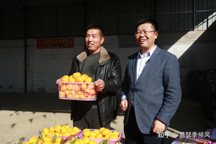 福建云霄水果种植基地_福建水果种植分部_福建云霄假烟的价目表