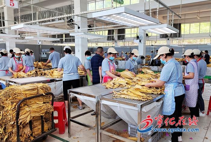 私自造烟的村子_造雾者蒸汽电子烟体验馆怎么样6_造雾主电子烟介绍