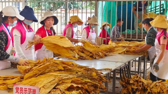 云南烟草公司招聘_云南烟草在全国的地位_旅游产业地位云南