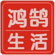 黄鹤楼云霄多少钱一包_黄鹤楼雅金香多少包_黄鹤楼大金砖单包图片