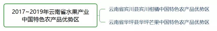 福建云霄乱真烟微信_福建云霄水果种植基地_福建云霄新闻