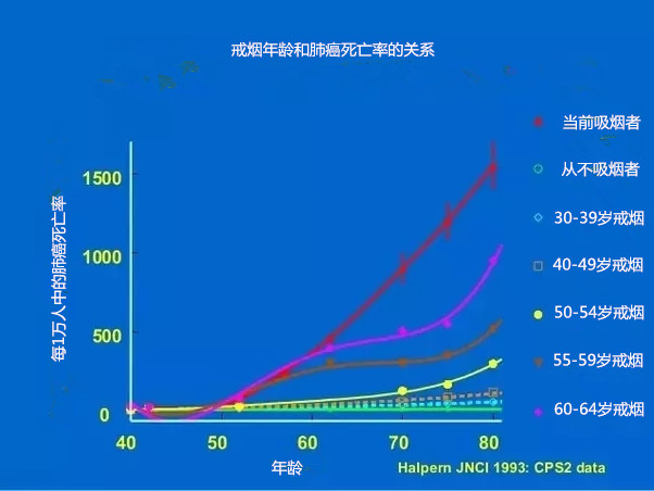 印戒细胞癌_戒烟激活癌细胞_基底细胞癌