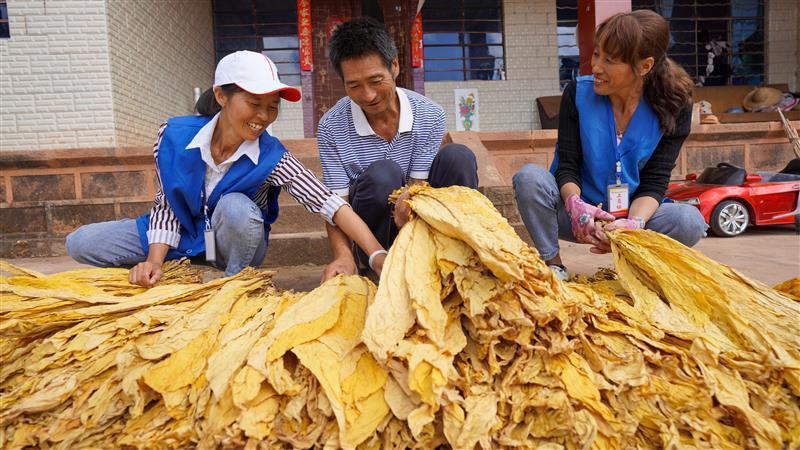 云南卷烟厂香烟品牌_云南香烟_云南哪种香烟是混合型的