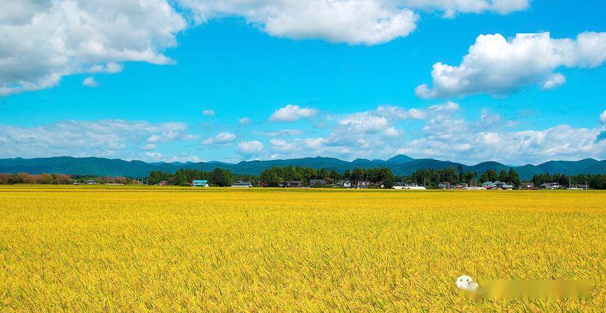 福建云霄旅游_福建云霄乱真烟微信_福建云霄水果种植基地