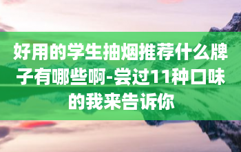 好用的学生抽烟推荐什么牌子有哪些啊-尝过11种口味的我来告诉你-第1张图片-2484