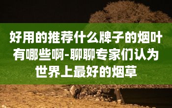 好用的推荐什么牌子的烟叶有哪些啊-聊聊专家们认为世界上最好的烟草-第1张图片-2484