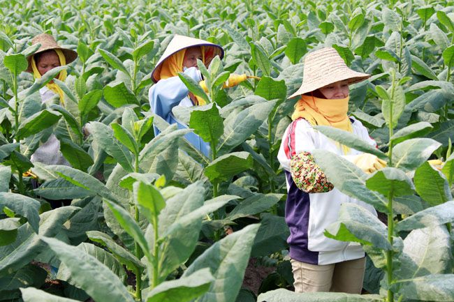 北京当地特色美食小店_云南当地的特色卷烟_淄博张店当地特色餐馆