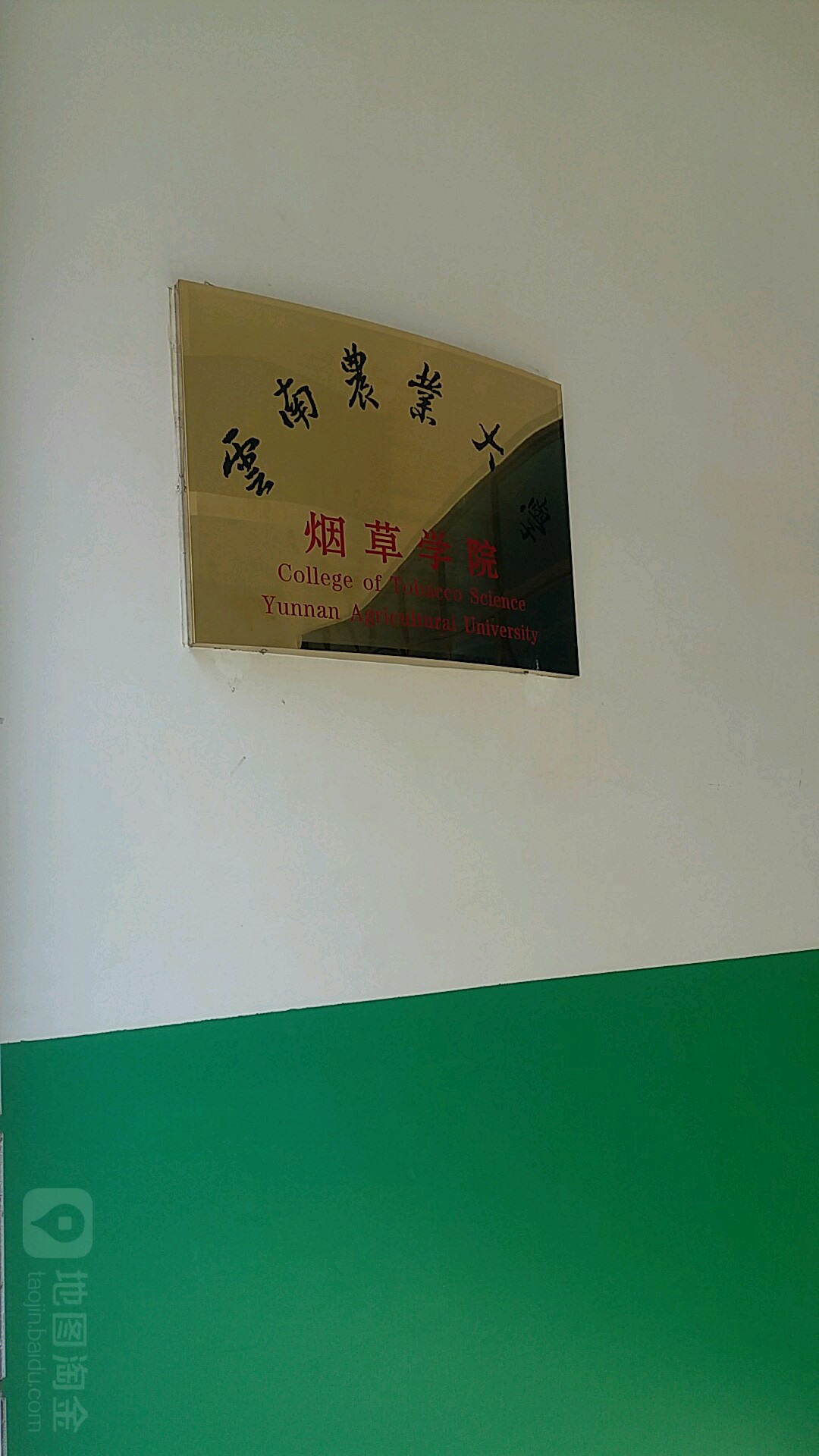 云南烟草在全国的地位_李镇桂 云南烟草_陈卫东 云南烟草