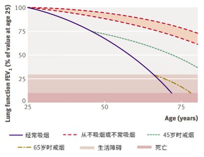 成功戒烟是指连续戒烟_戒烟的花费_戒烟使用戒烟贴有用吗