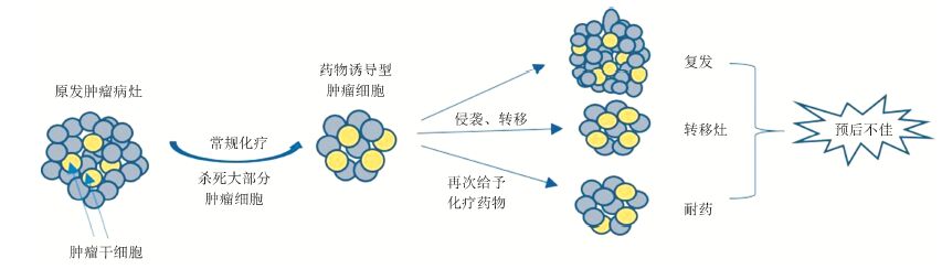 戒烟激活癌细胞_小细胞癌戒烟_戒烟后真的会得癌吗