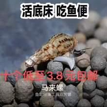 河南茶叶产量最高的县_tfc冲云霄和mmc冲云霄_云霄县蜜柚产量