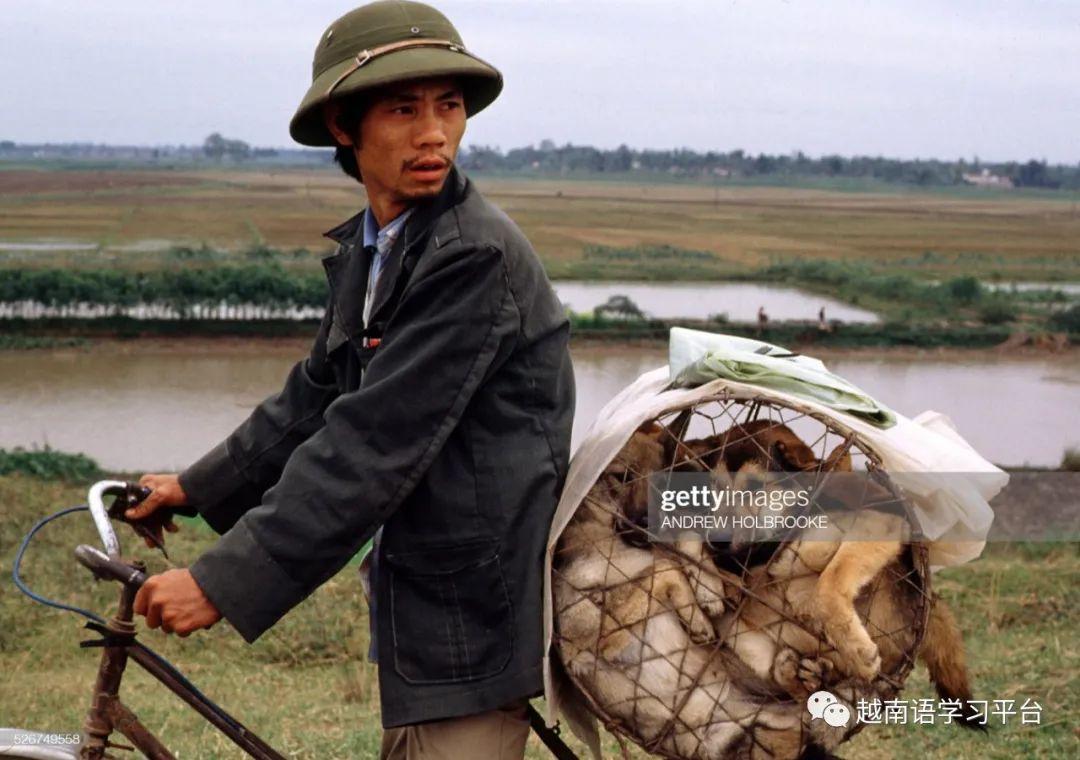 越南烟_越南什么烟比较好抽_越南细支荷花烟