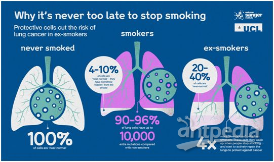 印戒细胞癌能活多久_突然戒烟会得癌_戒烟激活癌细胞