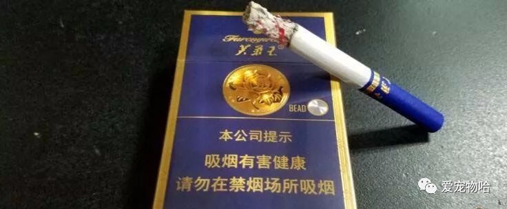 香烟 椰树香烟特醇_香烟 爱喜香烟薄荷_香烟