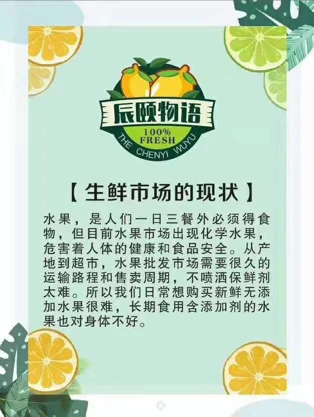 福建云霄马舖枧河村新闻_福建水果种植分部_福建云霄水果种植基地