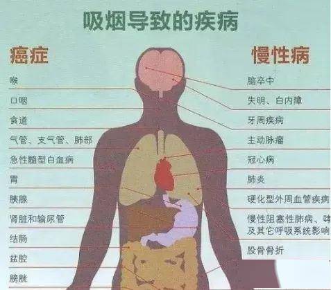 戒烟门诊如何科学戒烟_戒烟的花费_戒烟门诊怎么戒烟