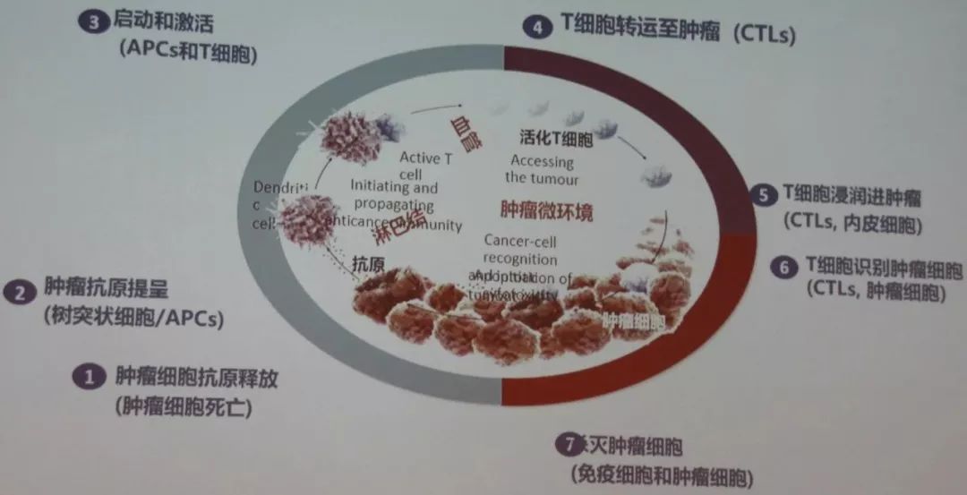 印戒细胞癌 英文_戒烟激活癌细胞_黑色素细胞活跃是癌吗