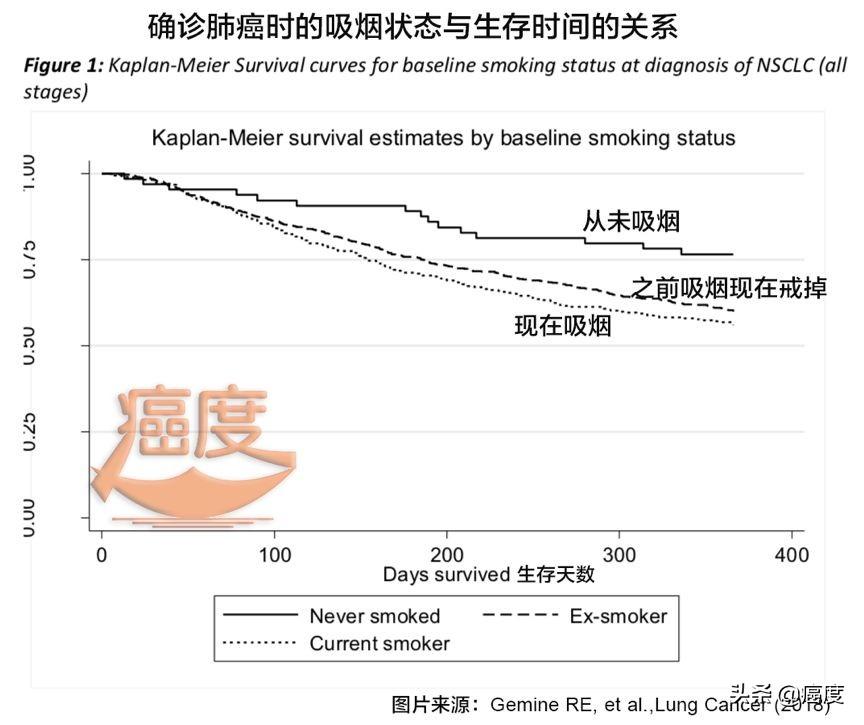 戒烟激活癌细胞_小细胞癌戒烟_细胞癌和癌有什么区别