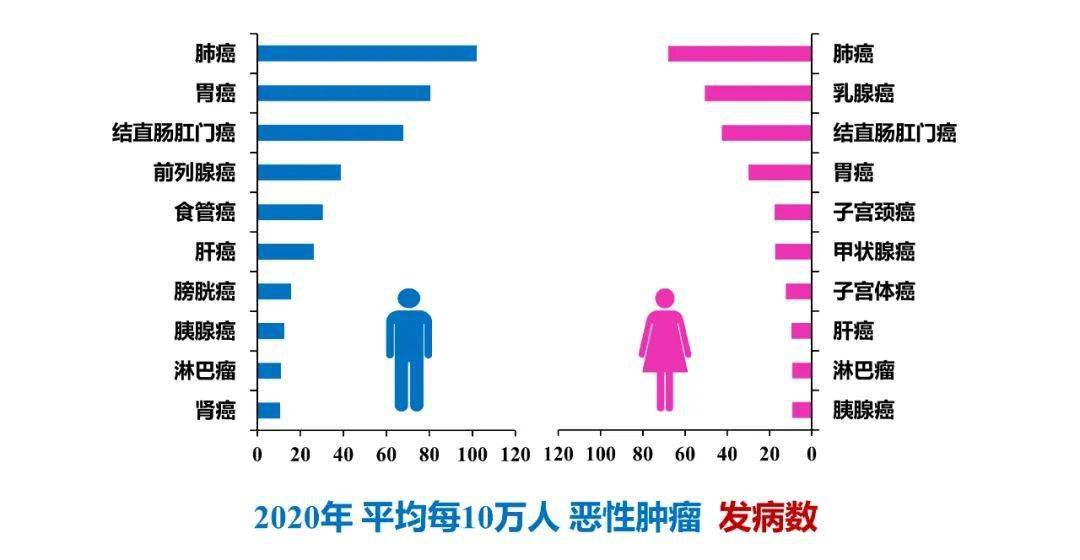 基底细胞癌_戒烟激活癌细胞_小细胞癌戒烟