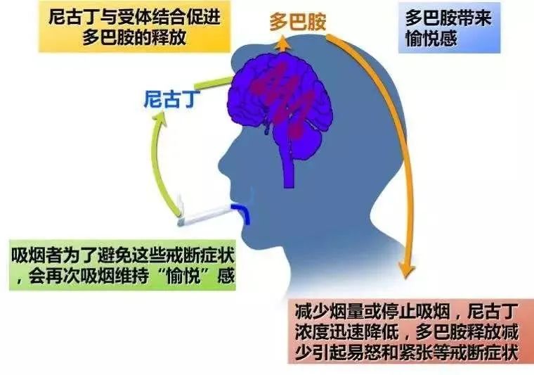 印戒细胞癌早期症状_戒烟激活癌细胞_黑色素细胞癌症状