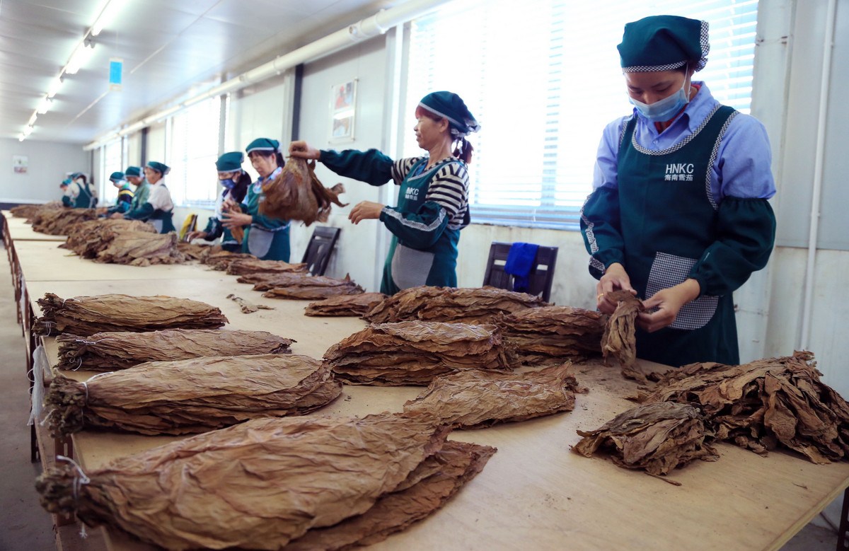 比真烟还好抽？一个小县城专业造假烟，横扫美国市场