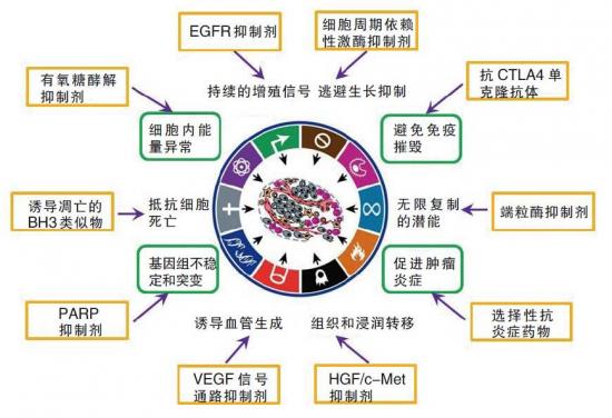 基底细胞癌_戒烟激活癌细胞_黑色素细胞癌