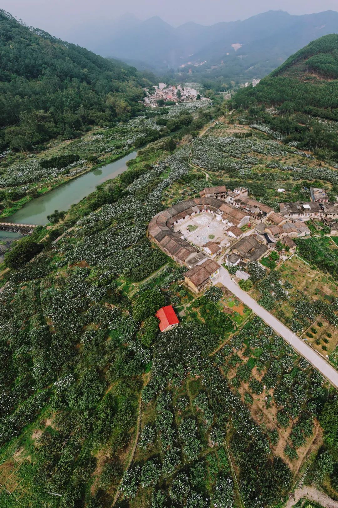 福建云霄新闻_福建云霄水果种植基地_福建云霄假烟的价目表