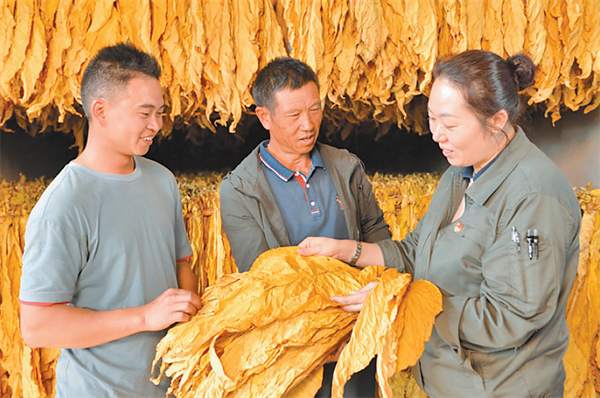 长沙卷烟厂厂长_云南昆明到西双版纳有多远_云南昆明卷烟厂的产品有哪些