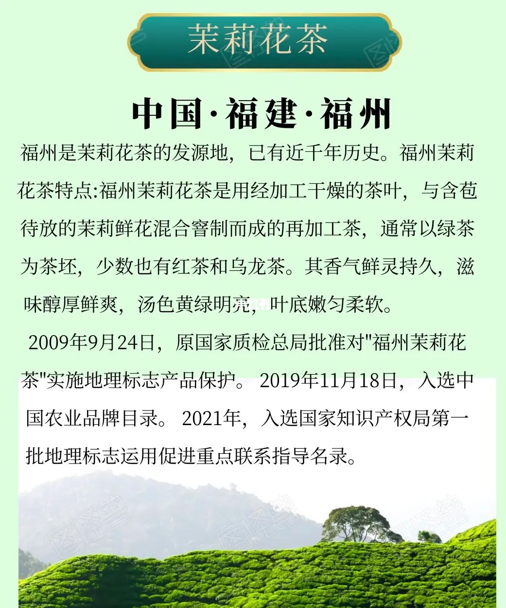 泉州云霄蜜柚产地_平和蜜柚产地价格行情_红肉蜜柚 白肉蜜柚 区别