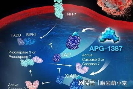 黑色素细胞癌_胆管细胞癌早期核磁表现_戒烟激活癌细胞