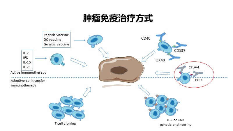 戒烟激活癌细胞_黑色素细胞癌_胃癌印戒细胞癌术后饮食